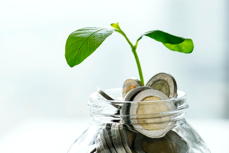 sprout in a jar of money